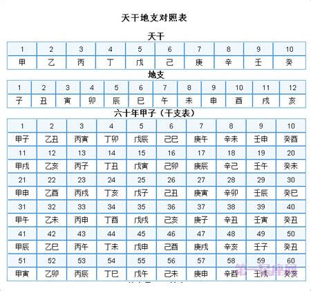 1996天干地支|天干属性 干支纪年对照表